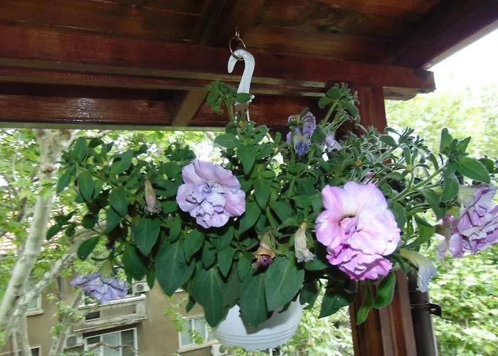 Aleksandrovska * Бургас