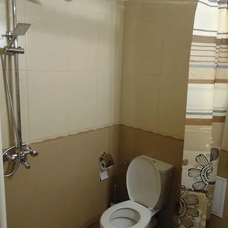 Apartament Aleksandrovska *