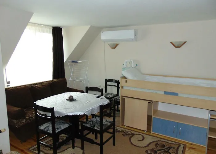 Apartment Aleksandrovska